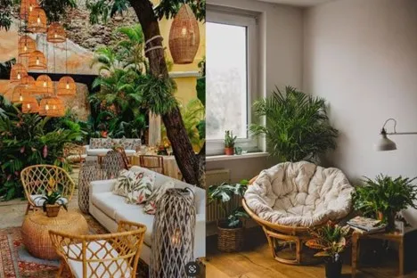 ویژگی های لوستر بوهو