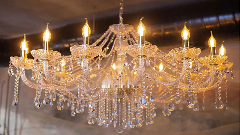 لوستر بوهمیا